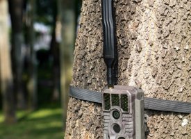 Vildtkamera + Tilbeh&oslash;r