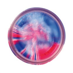 Powerbait Natural Scent | 3 for 120,-