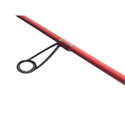 Abu Garcia Carabus Exquisite