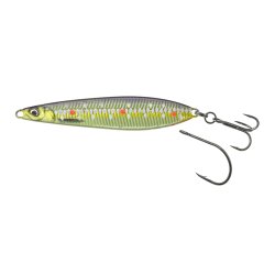 Seeker ISP Loose Scales