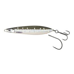 Seeker ISP Loose Scales