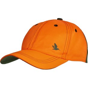 Seeland Venture cap