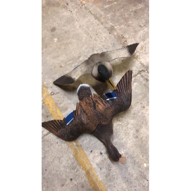 Seeland Ande st med vinger nr.1