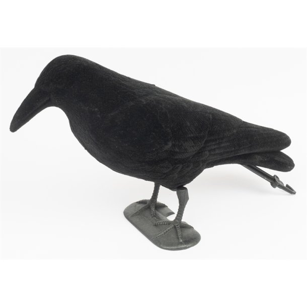 Sort Krage med Flock