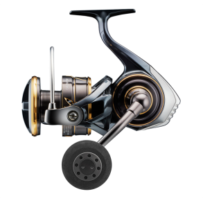 Daiwa Caldia 22 SW