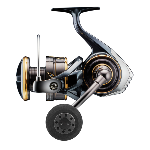 Daiwa Caldia 22 SW