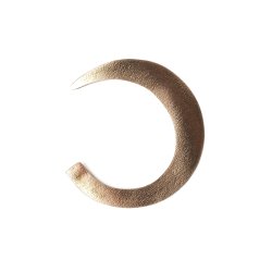 Paolo Pacchiarinis Wiggle Tails M