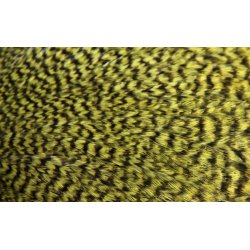 FutureFly Signature Rooster Cape