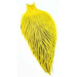 FutureFly Signature Rooster Cape