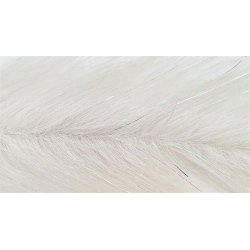 FF Snowrunner/Nayat Brush