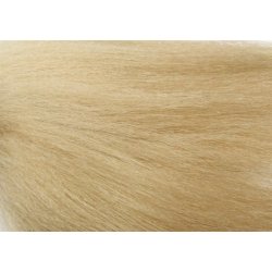 FutureFly Snowrunner/Nayat