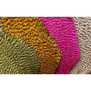 FutureFly Signature Rooster Cape