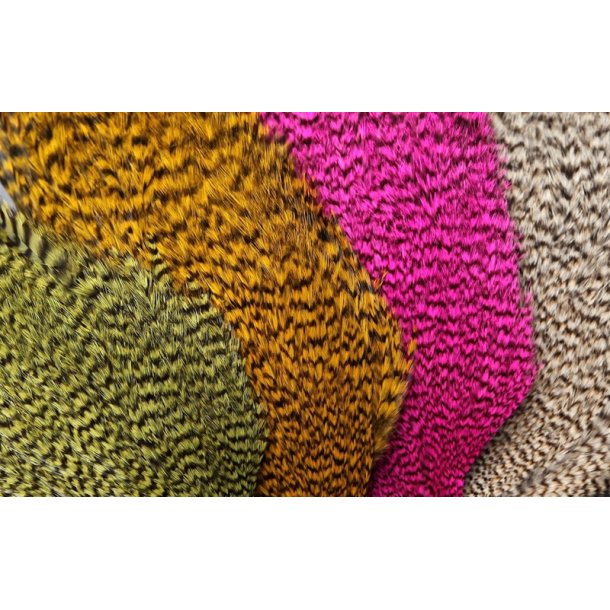 FutureFly Signature Rooster Cape