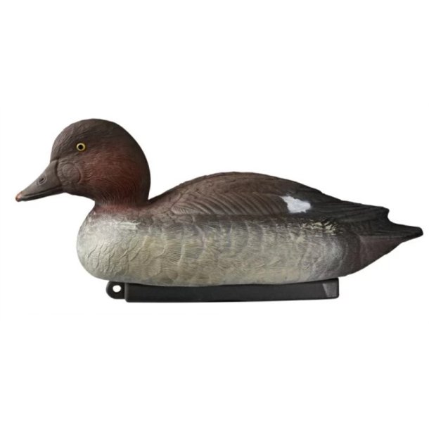 Hvinand Hun lokkefugl