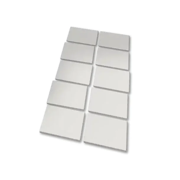 Anti-dug indlg til vildtkamera