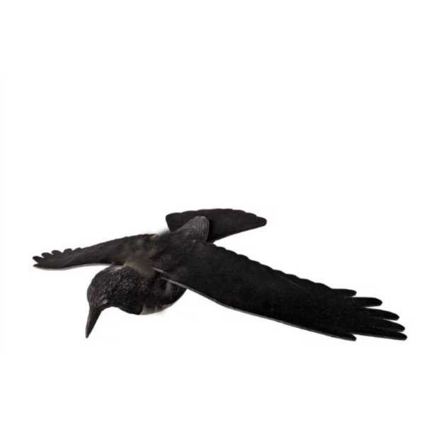 Lokkefugl Krage Sort | M/eva Vinger M/Spyd M/Flock