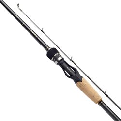Daiwa Luvias Casting