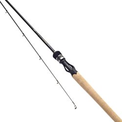 Daiwa Luvias Casting