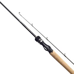 Daiwa Luvias Casting