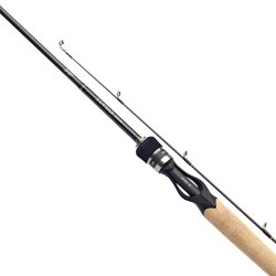 Daiwa Luvias Casting
