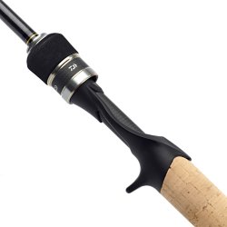 Daiwa Luvias Casting