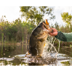 Savage Gear Hop Walker Frog