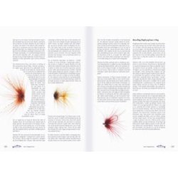 Skjern  & Doggerland Laksen