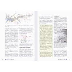 Skjern  & Doggerland Laksen