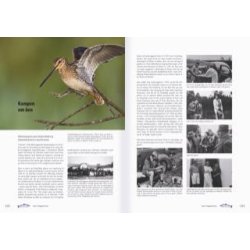 Skjern  & Doggerland Laksen