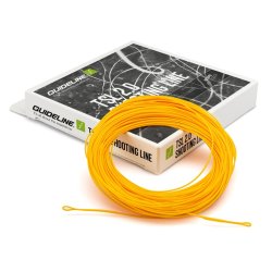 Guideline TSL 2.0 DC