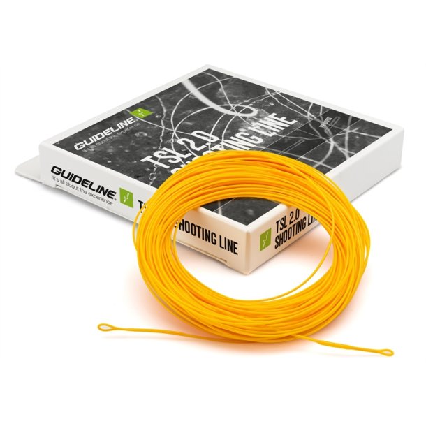 Guideline TSL 2.0 DC