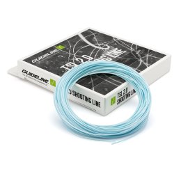 Guideline TSL 2.0 DC