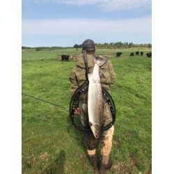 Westin W3 CR LANDING NET str L