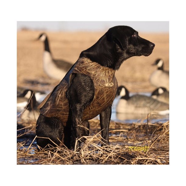  Neopren hundevest fra Avery