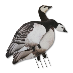 Big Als Silhuet Bramgs  12 stk.