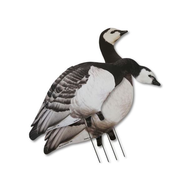 Big Als Silhuet Bramgs  12 stk.